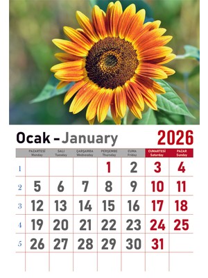 Orkide Matbaacilik Takvim - Spiralli 12 Yaprak 32X47 cm - Çiçek Resimli Kuşe Kağıt Duvar Takvimi - 2026