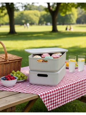 Okyanus Home Linea Smart Box Bej 4,5 Lt 2 Adet Kapaklı Çok Amaçlı Saklama Kutusu