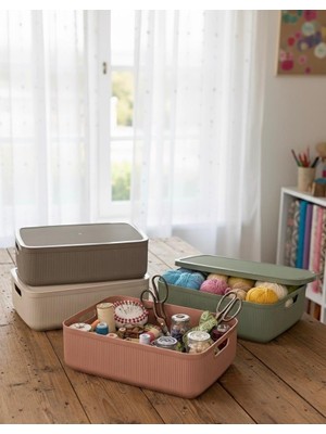 Okyanus Home Linea Smart Box Multi Renk 4,5 Lt 4 Adet Kapaklı Çok Amaçlı Saklama Kutusu