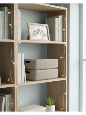 Okyanus Home Linea Smart Box Vizon 4,5 Lt 2 Adet Kapaklı Çok Amaçlı Saklama Kutusu