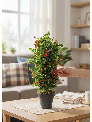 Nettenevime Yapay Çiçek Siyah Saksıda Kırmızı Lotuslu Yeşil Şimşir Ağacı 70*30CM