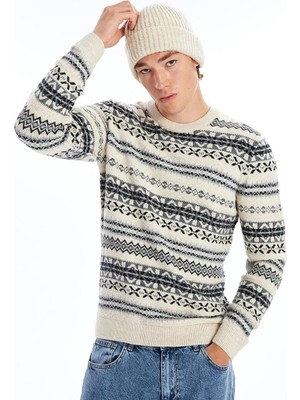 LC Waikiki Bisiklet Yaka Uzun Kollu Desenli Erkek Triko Kazak  (W5)