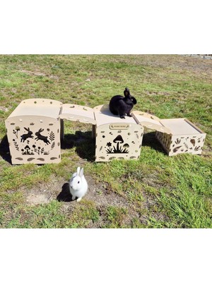 Qpr Design Organik Huş Ağacından Tünelli Tavşan Evi, Modüler Tavşan Saklanma Yeri ve Oyun Evi, Kapalı Küçük Evcil Hayvan Yaşam Alanı, Özelleştirilebilir Tavşan Oyun Alanı