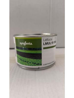 Sygenta Yeşil Endivyen(Lmul) Marul Tohumu(1 Kutu 5000 Adet)-Özel Tohum