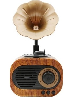 Fioplus B5 Nostaljik Mini Gramafon Radyo