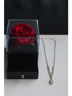 Luphira Fanuslu Sonsuzluk Gülü ve Gümüş Kaplama Kolye Sevgiliye, Arkadaşa