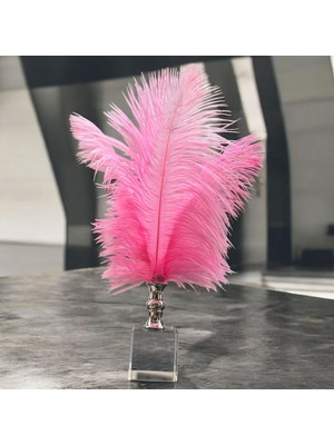 Peramari Dekoratif Küçük Boy Küp Kristal Cam Deve Kuşu Tüyü Açık Pembe Gümüş