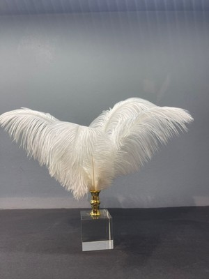 Peramari Dekoratif Küp Kristal Cam Deve Kuşu Tüyü Beyaz Gold