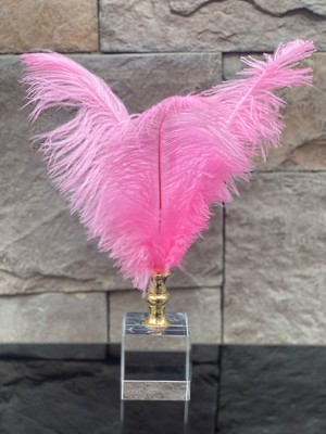 Peramari Dekoratif Küp Kristal Cam Deve Kuşu Tüyü Pembe Gold