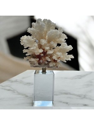 Peramari Dekoratif Kristal Dikey Dikdörtgen Deniz Mercanı Biblo Beyaz