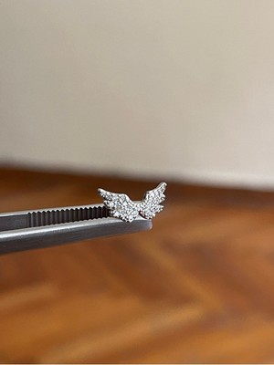 Rupen Kraft 316 L Cerrahi Çelik Melek Kanadı Detaylı Kıkırdak Helix Tragus Piercingi