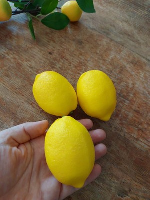 Lolipophobi Yapay Limon 3 Adet, Yapay Meyve Yapay Sebze, Dekor, Dekorasyon