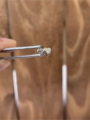 Rupen Kraft 316 L Cerrahi Çelik Tragus Helix Kıkırdak Conch Minimal Kalp Piercing
