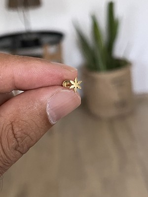 Rupen Kraft 316 L Cerrahi Çelik Tragus Helix Kıkırdak Conch Minimal Yıldız Piercing