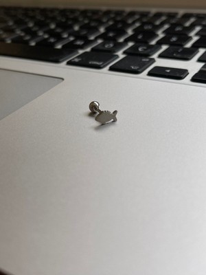 Rupen Kraft 316 Cerrahi Çelik Tragus Helix Kıkırdak Conch Minimal Balık Piercing