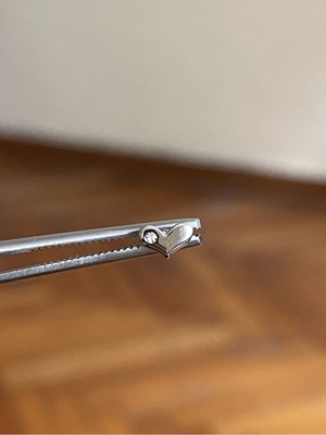 Rupen Kraft 316 L Cerrahi Çelik Dudak Kıkırdak Helix Tragus Piercingi kalp Detaylı Piercing