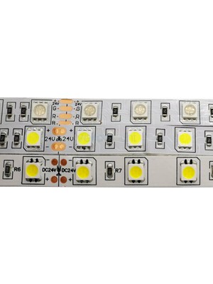 Demir Led 24 Volt 5050 Şerit LED Mavi IP65 (5 Metre)