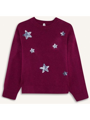 DeFacto Bisiklet Yaka İşlemeli Triko Kazak Kız Çocuk G2145A825WN