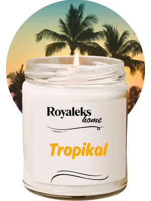 Just Cheap Store Doğal Özel Seri Kokulu Dekoratif Kavanoz Mum 210 cc - Tropikal Esans - Ryl