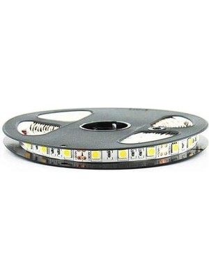 FourForce CT-4480 3 Çip Şerit LED Iç Mekan, Beyaz, 5 M