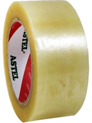 3EGROUP Astel 45X100 Şeffaf Koli Bandı