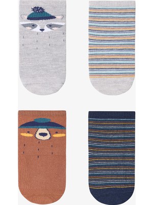 Penti Çok Renkli Erkek Çocuk Stripey Racoon 4lü Soket Çorap