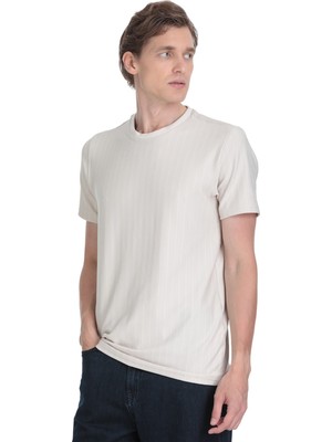 Hatemoğlu Taş Regular Fit Çizgili Bisiklet Yaka Tişört