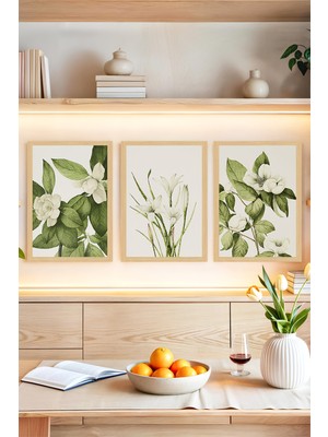 KutuTR 🌿 Vintage Bitki Illüstrasyonlu 3’lü Dekoratif Tablo Seti – Çerçeve Görünümlü🌟 CRVS1157 30 x 40