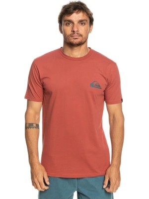 Quiksilver Mwminilogo Tees Erkek T-Shirt