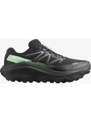 Salomon Ultra Flow 2 Gore-Tex Erkek Koşu Ayakkabısı