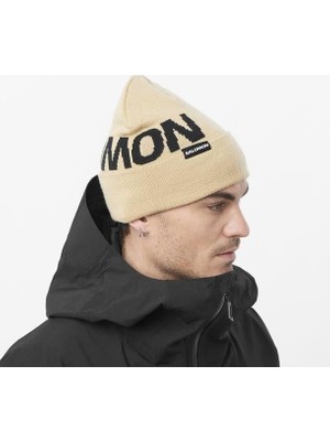 Salomon Hermitage Beanie Unisex Bere