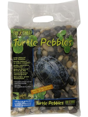 Terra Kaplumbağa Çakıl Taşları, Büyük