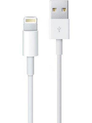 Skygo ZR928 Lighting Kablo 2 M