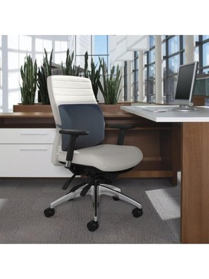 Ortopedik Ofis Koltuk Sandalye Bel Destek Yastık Minderi Sırt Dayama Yastığı