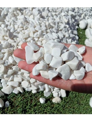Pearl Shop Taş 5 kg 1-2 cm Beyaz Dolomit Bahçe Taşı Çakıl Taşı Saksı Taşı Akvaryum Teraryum Taşı