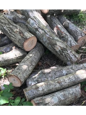 Pearl Shop Şömine Odunu 40 kg