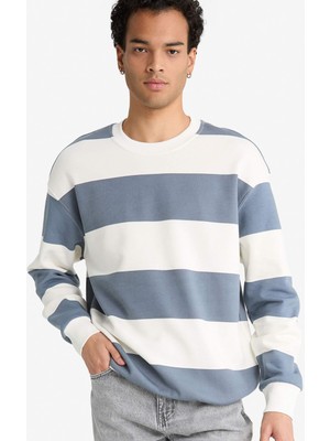 DeFacto Boxy Fit Bisiklet Yaka Çizgili Sweatshirt F4641AX25AU