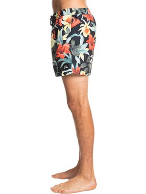 Quiksilver Everyday Garden Path Volley 15 Erkek Siyah Volley Short