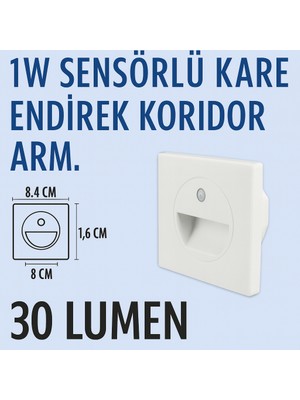 Lampist 1W Beyaz Kasa, Endirek Sensörlü Koridor Armatür Mavi Mavi