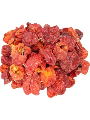 Aktar Depo Antep Kuru Biber Dolma  20 Li (Iadesiz)