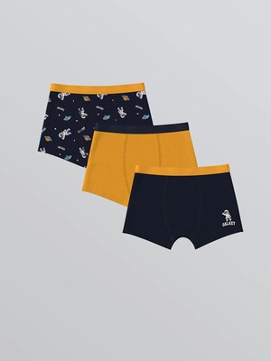 LC Waikiki Baskılı Erkek Çocuk Boxer 3'lü  (W5)