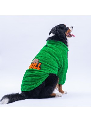 Pawstar Yeşil Oslo Chill Urban Moods Peluş Orta Büyük Irklar Köpek Kıyafeti Köpek Sweati