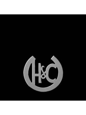 TabiTela 925 Ayar gümüş kolye C&H SM10636