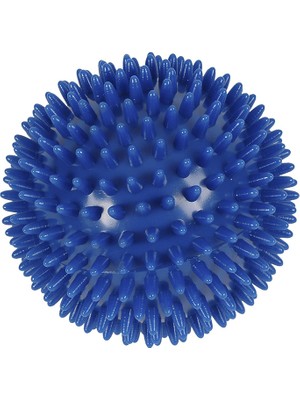 Case Dikenli Duyu Masaj Topu Msd El Egzersiz