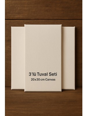 Oyun ve Sanat Tuval Seti,3 ADET20X30CM Tüval Resim Ressam Seti