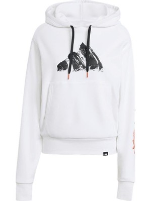 Adidas TERREX JM6364 Terrex Snow Adventure Graphic Kapüşonlu Üst