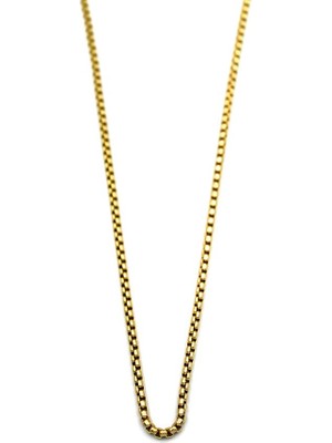 Royaleks Yılan Zincir Kolye - 45 cm - Altın