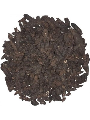 Aktar Depo Topalak-Kust-Buhuru Meryem 100 gr