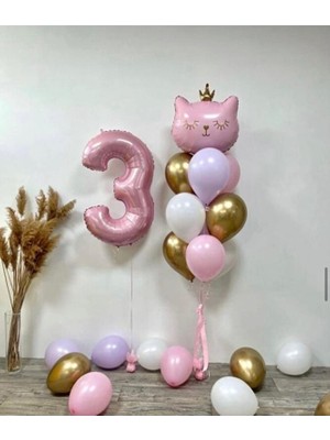 Sinda Pembe Taçlı Kedi Seti - Doğum Günü Konsepti