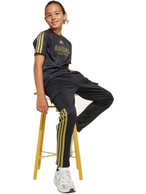 adidas Unisex Çocuk  Siyah  Eşofman Altı J HOT COF CG PT JI6187